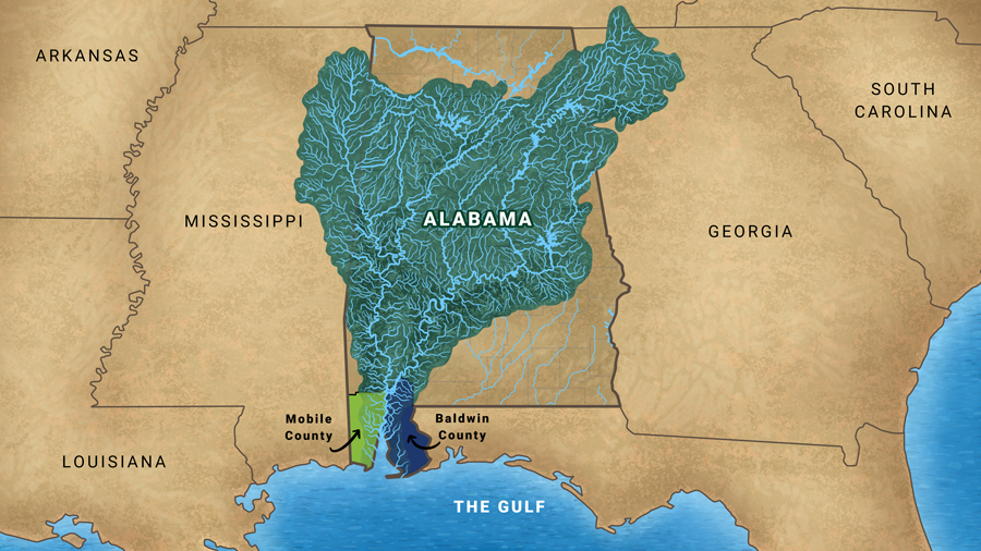 Phinizy Swamp Bandana